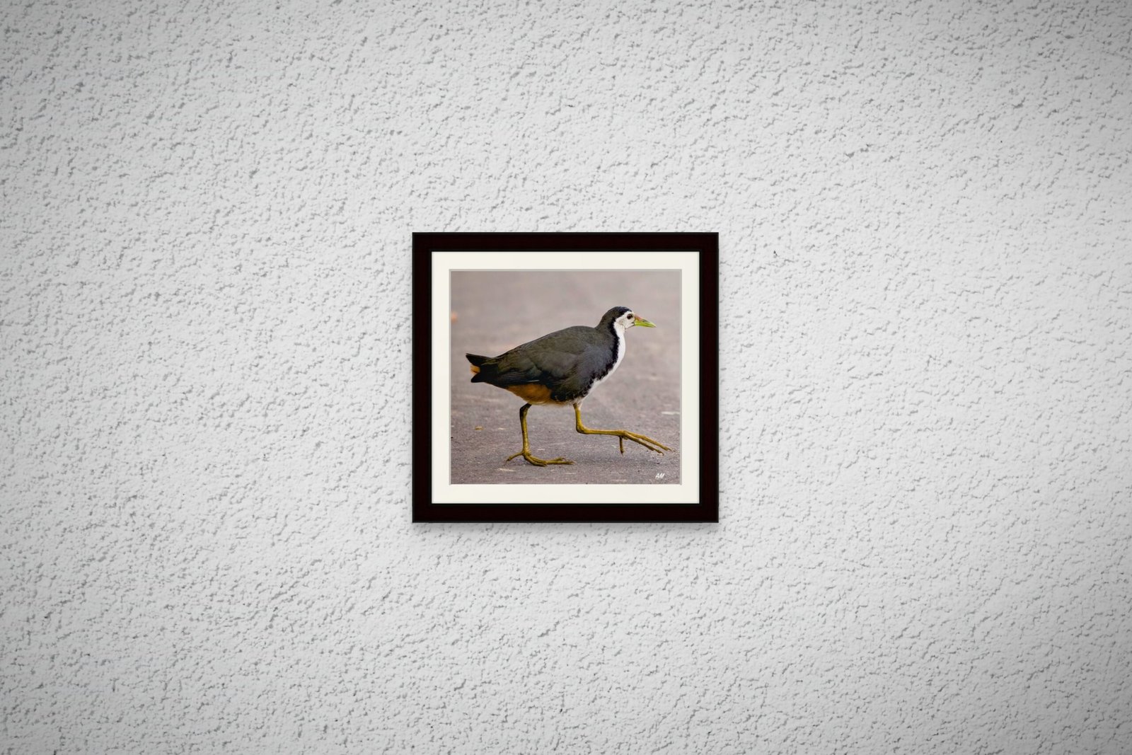 birds_design_3_premium_paper