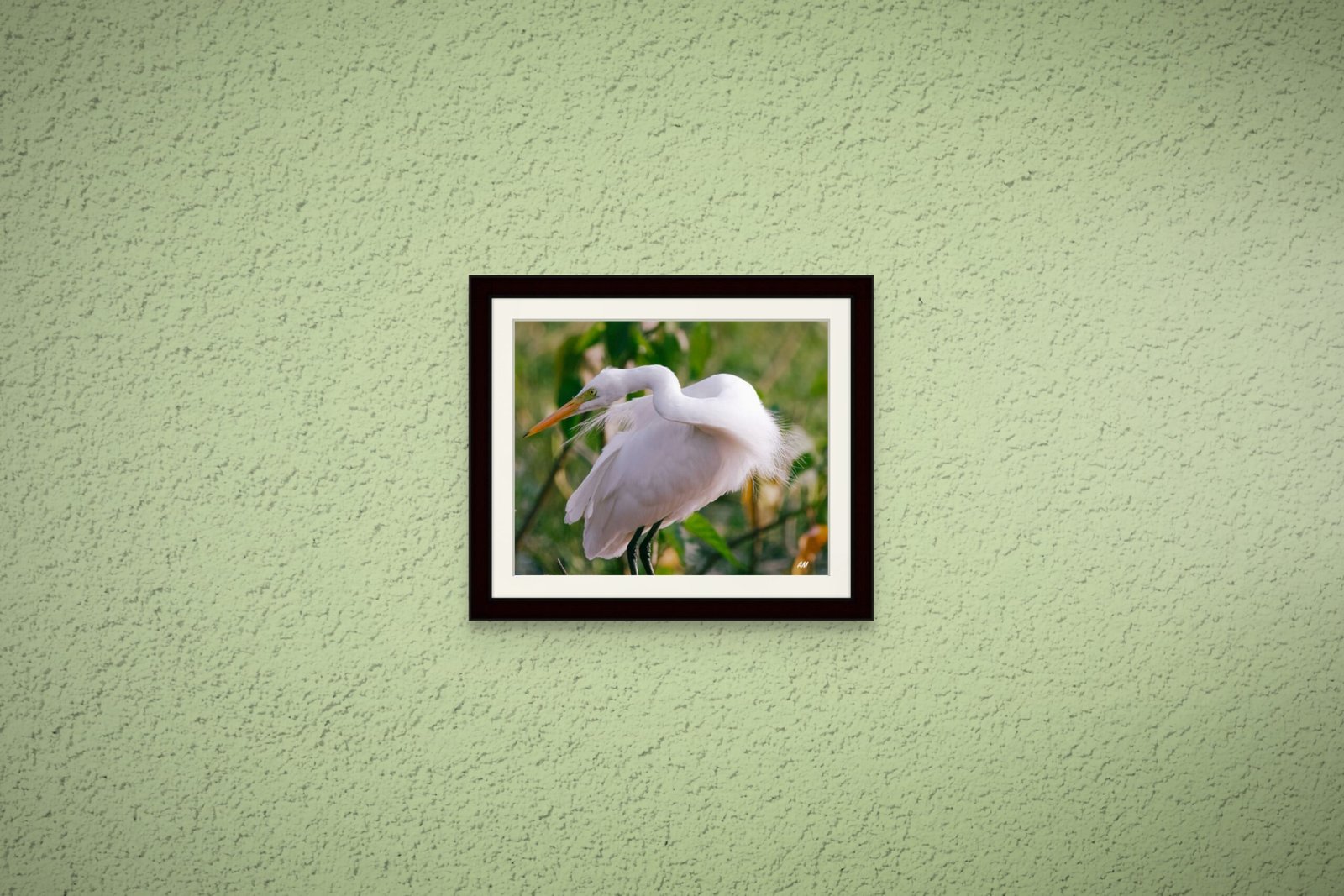 birds_design_5_premium_paper