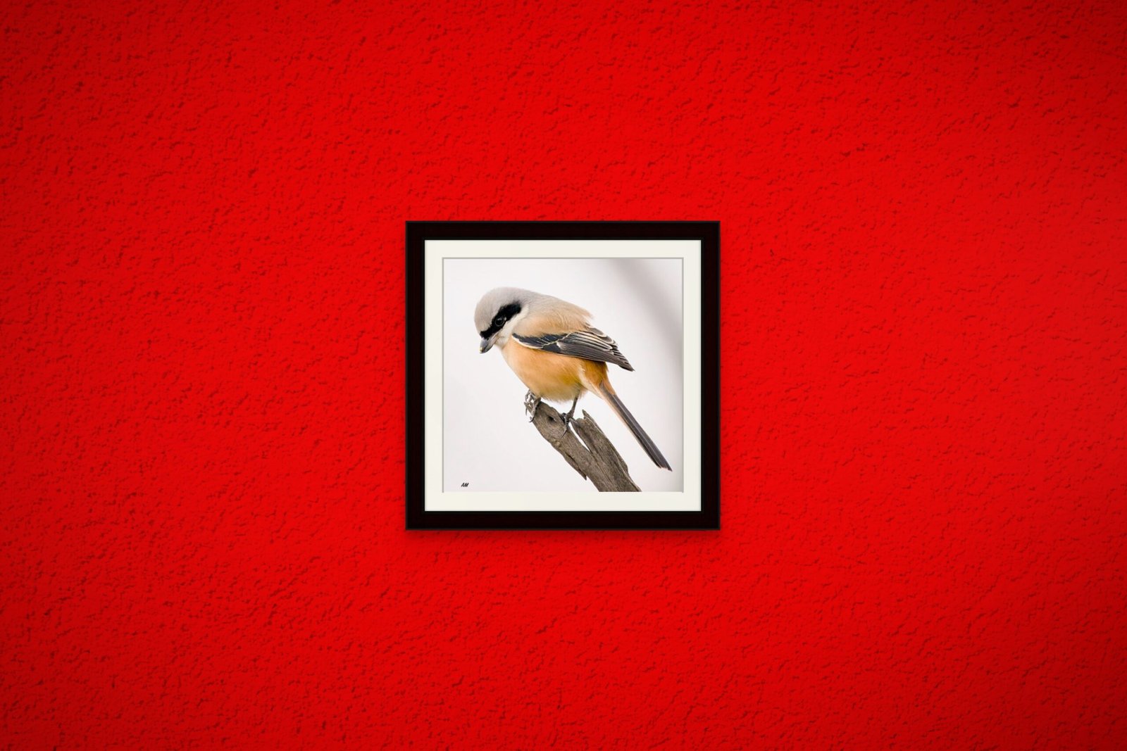 birds_design_7_premium_paper