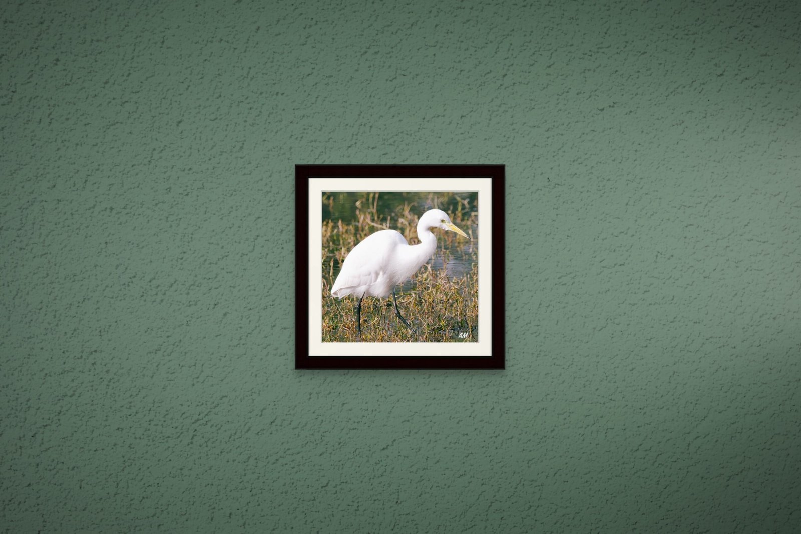 birds_design_9_premium_paper