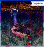 THE GREAT INDIAN BUSTARD - DIGITAL 6 | Only Print
