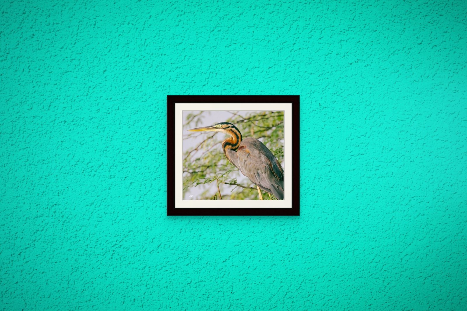 birds_design_11_premium_paper