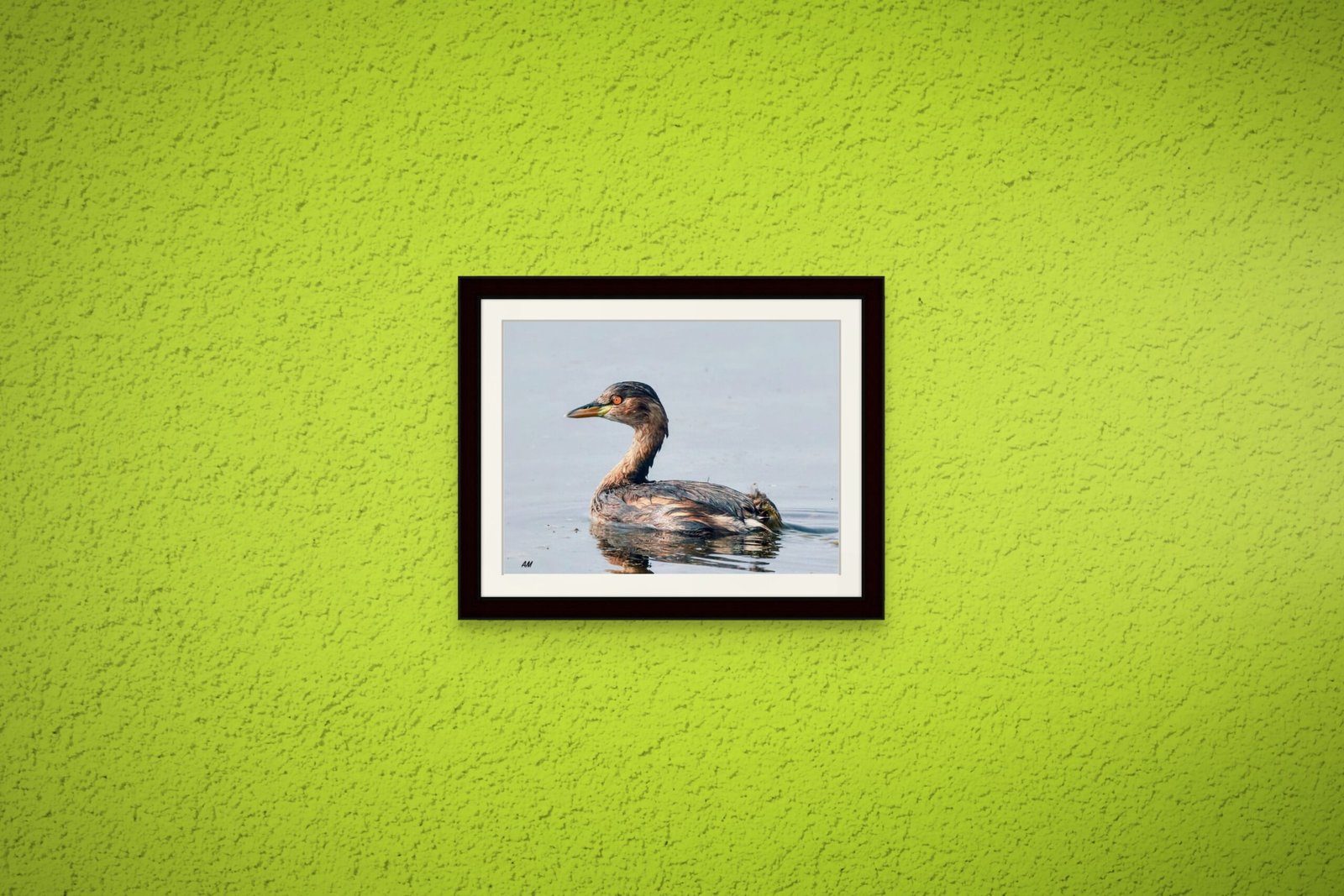 birds_design_16_premium_paper