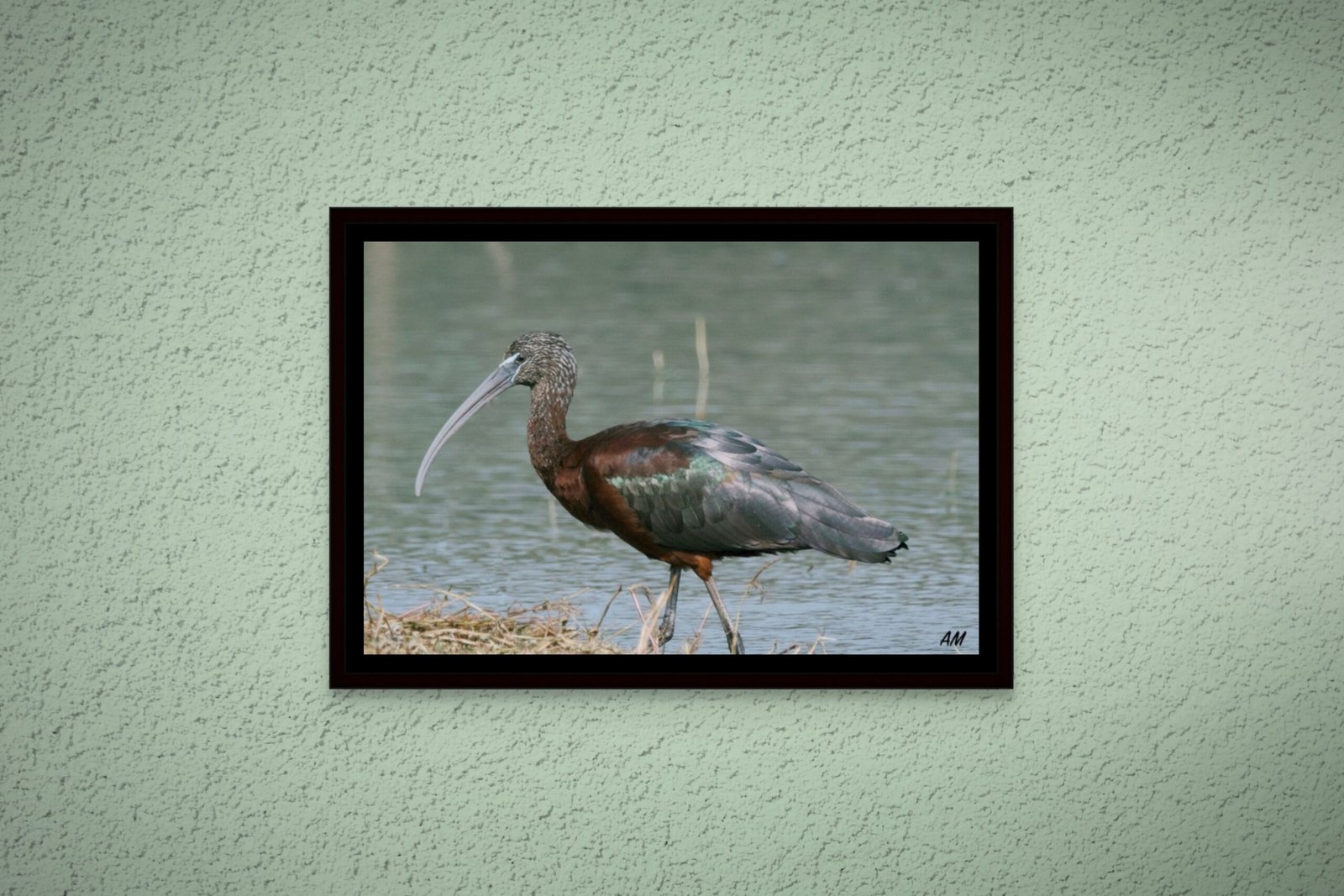 birds_design_17_floater