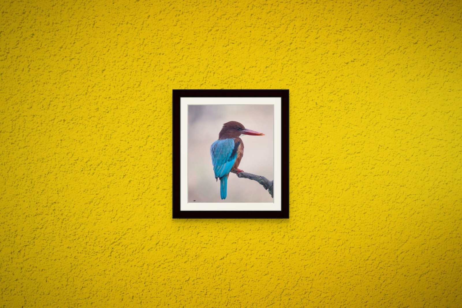 birds_design_18_premium_paper
