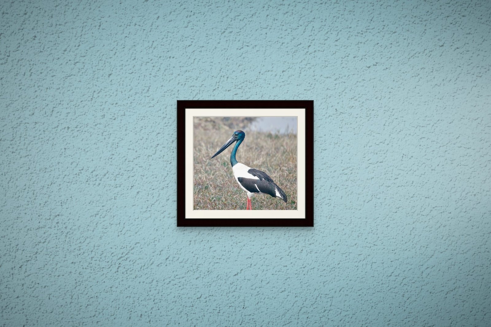 birds_design_19_premium_paper