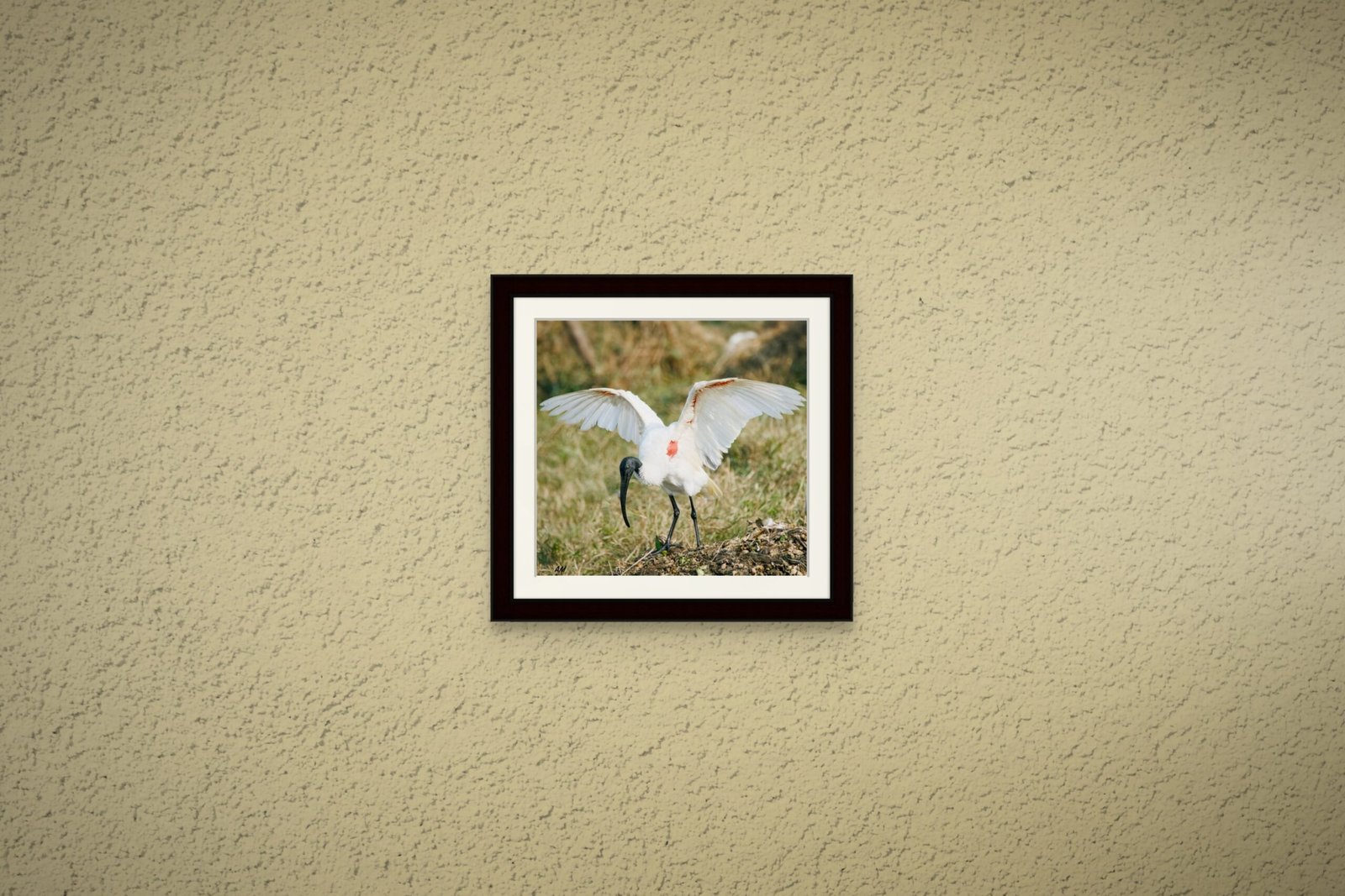 birds_design_20_premium_paper