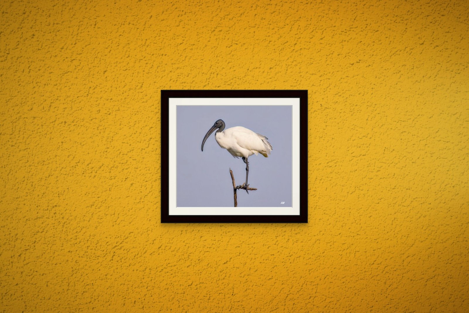 birds_design_21_premium_paper