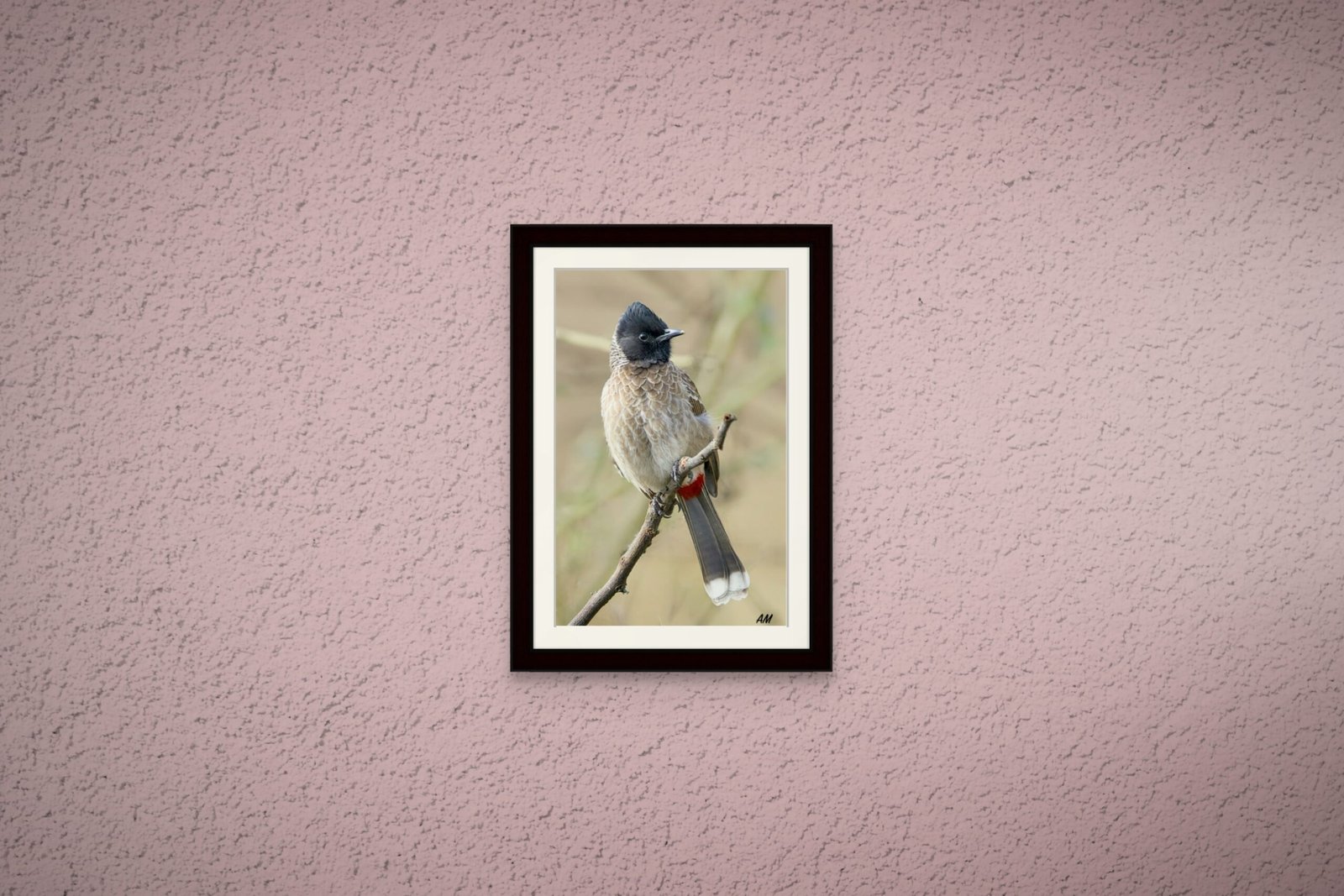 birds_design_22_premium_paper