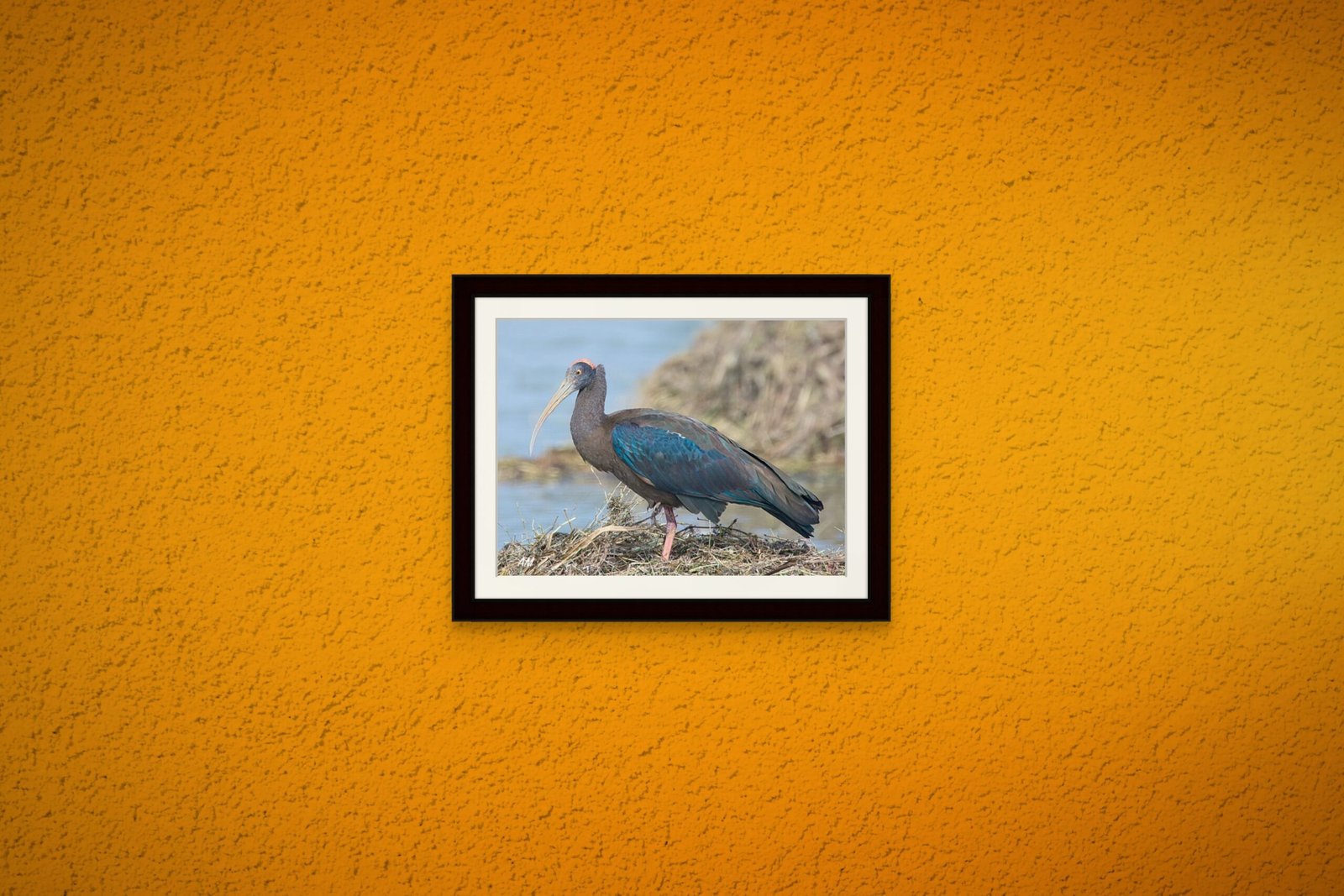 birds_design_23_premium_paper