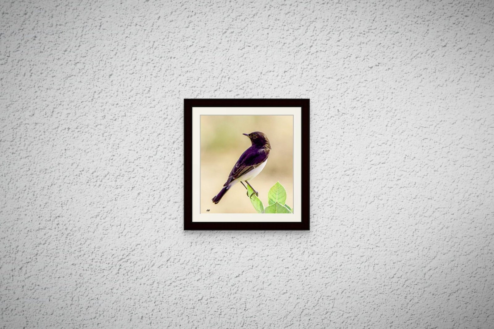birds_design_24_premium_paper