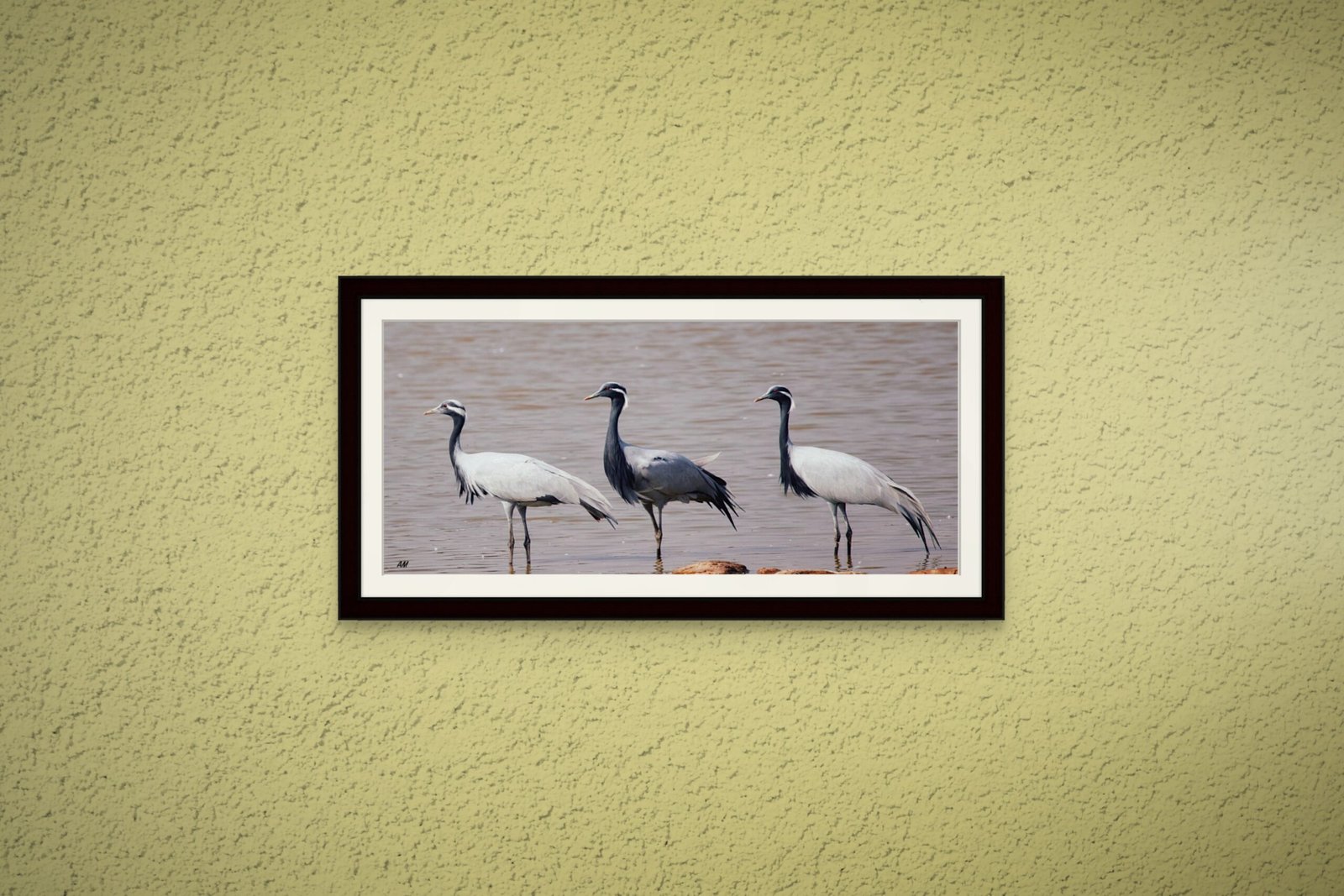 birds_design_25_premium_paper
