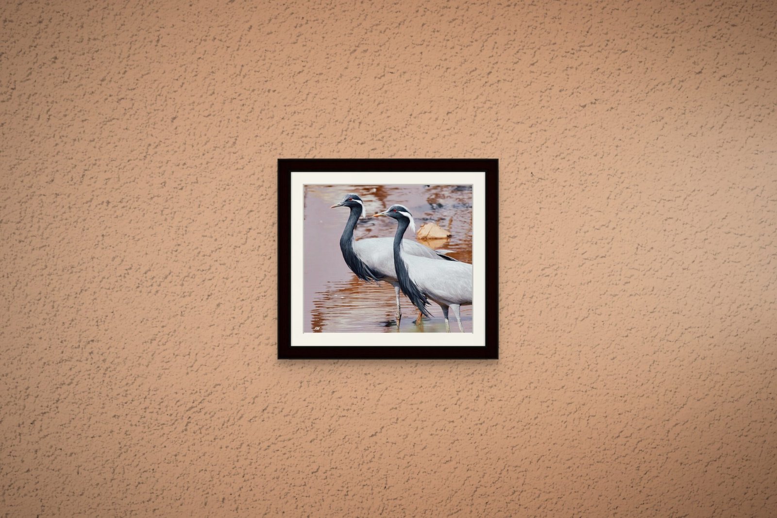 birds_design_26_premium_paper