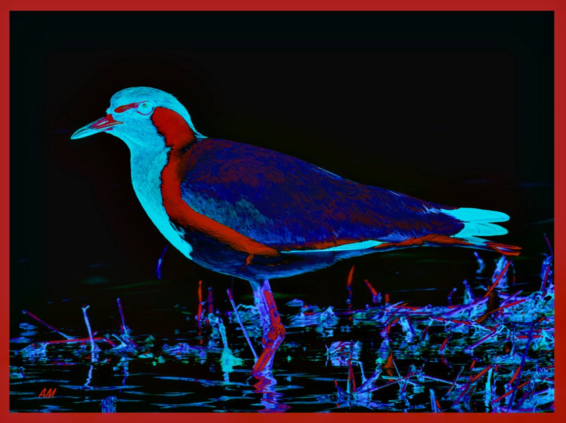 0X8A2332R_IAE2514