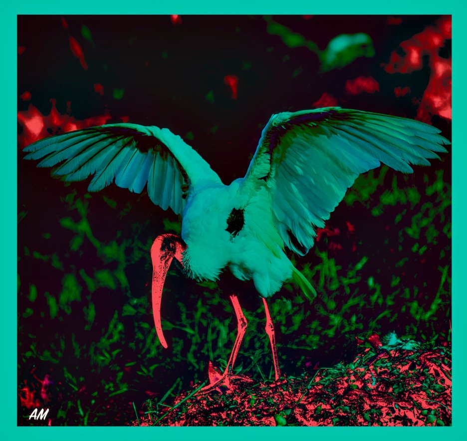 0X8A6156_1_IAE2516