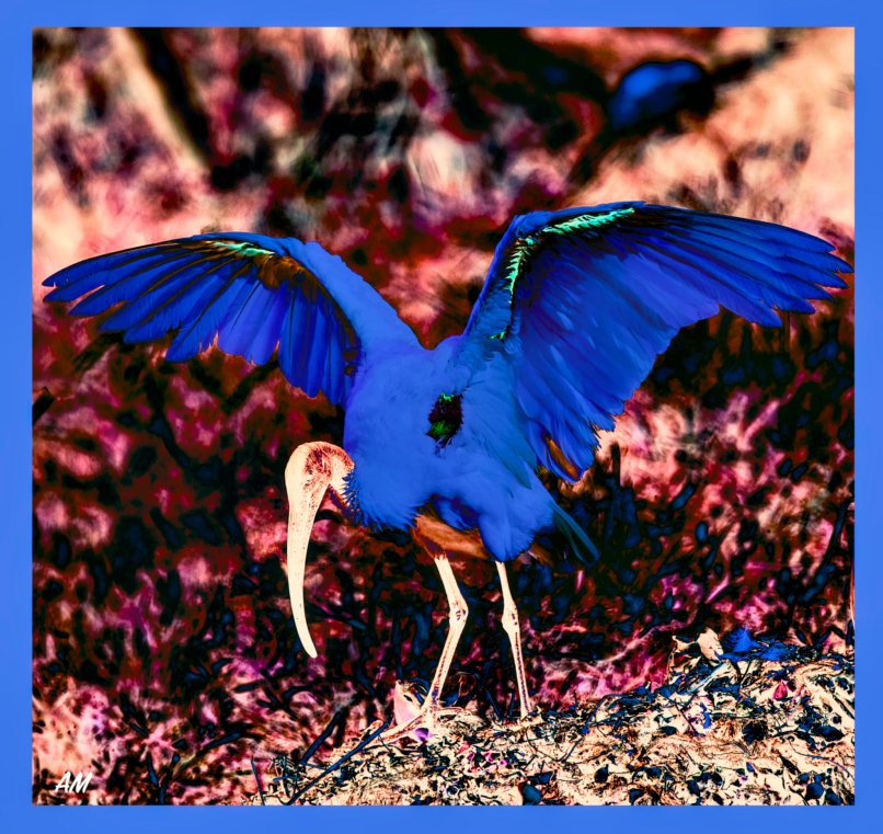 0X8A6156_3_IAE2518