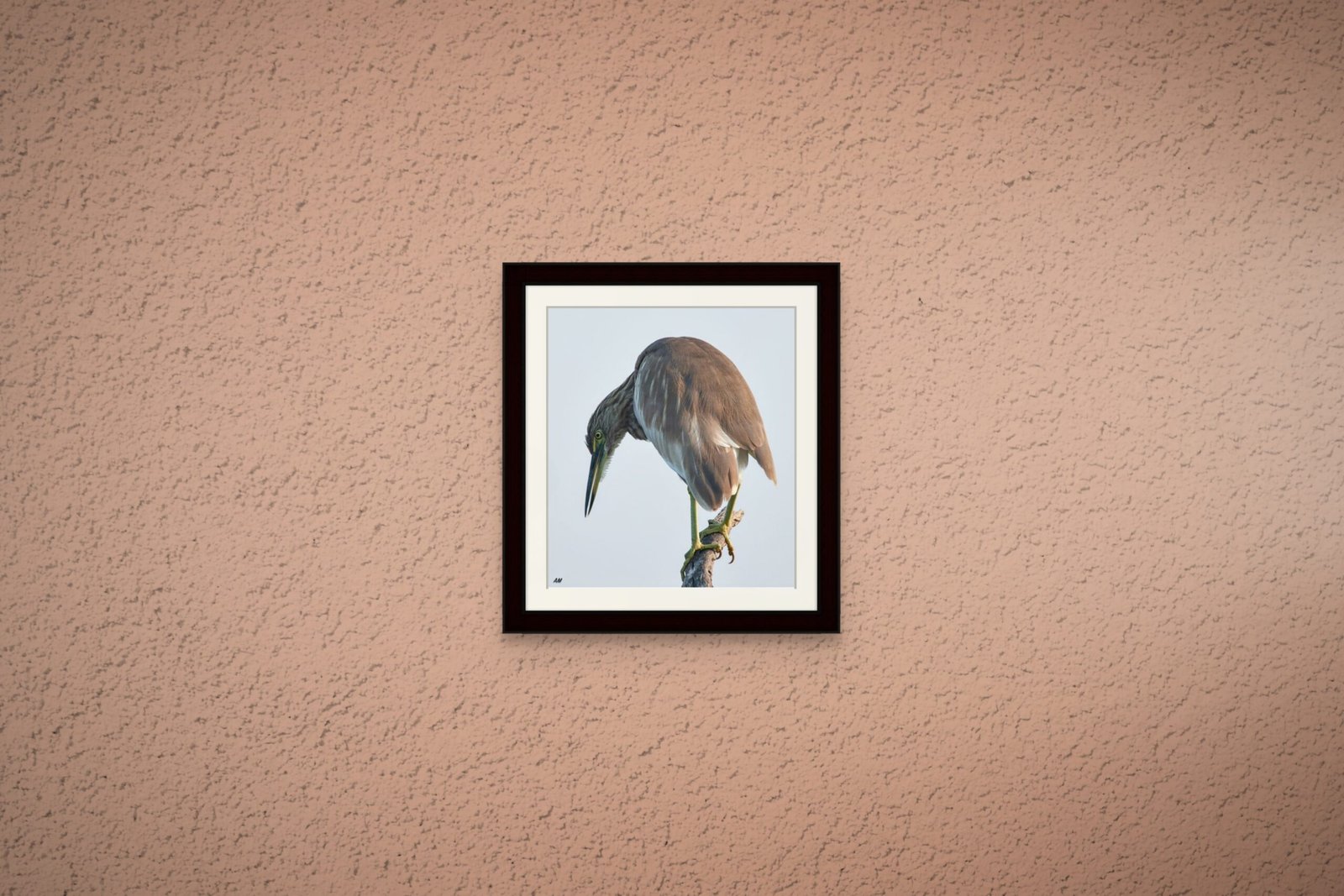 birds_design_15_premium_paper