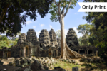 A TAPESTRY OF WEATHERED STONE  | Only Print