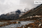 THE FROZEN FRONTIER | Only Print