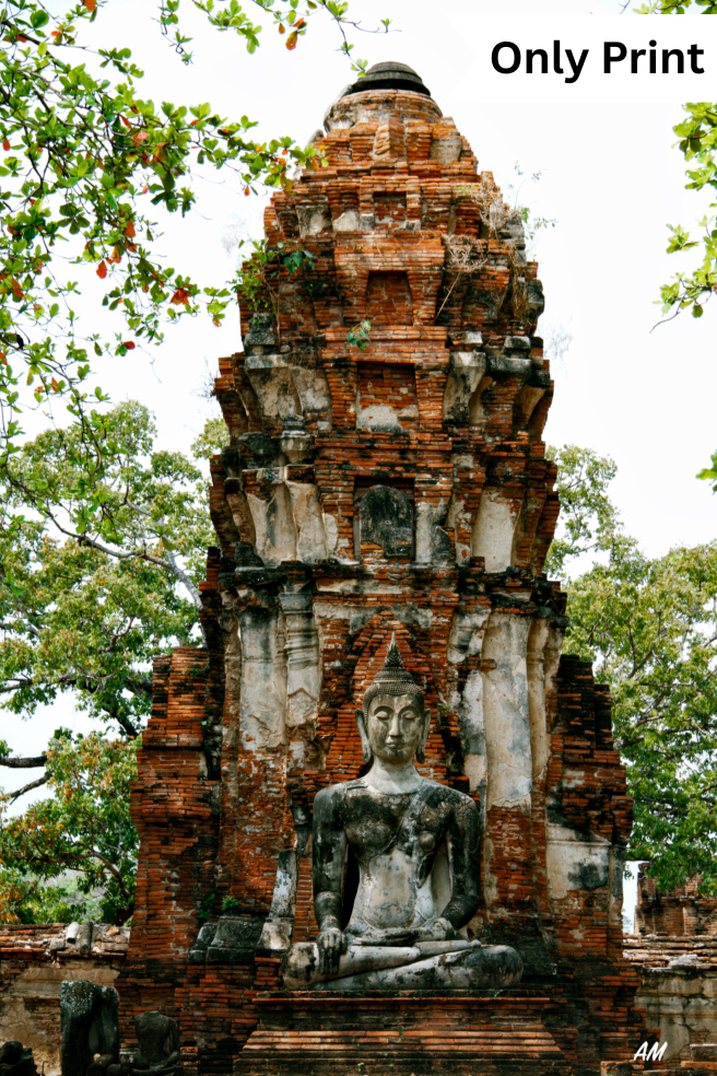 Untitled design (4)