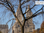 THE SAN REMO APARTMENTS - 2 | Only Print