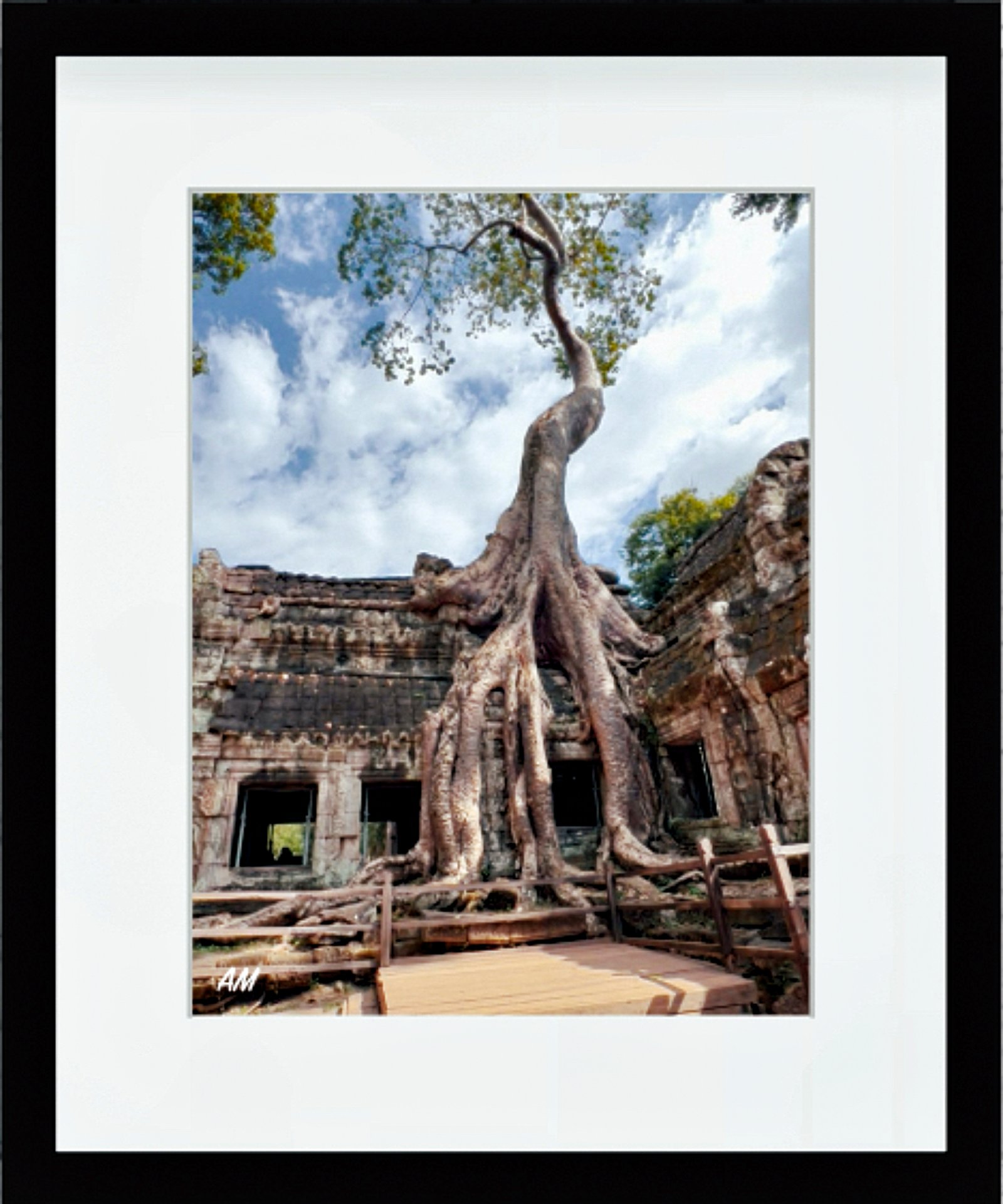 Silk-cotton tree roots wrapping around Ta Prohm temple ruins Tomb Raider temple